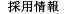 採用情報
